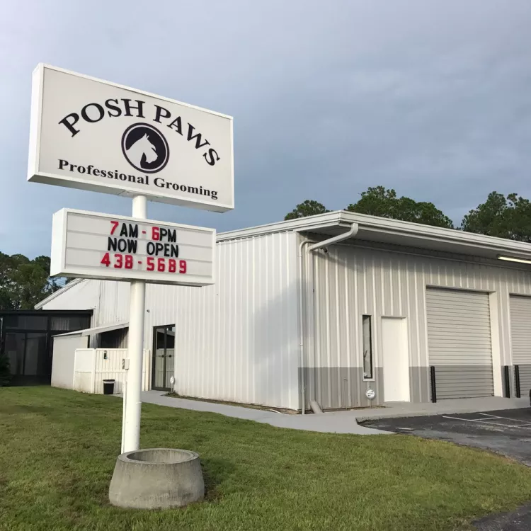Posh Paws Professional Grooming, Florida, Lake City